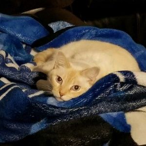 Meet your Posher, Susana